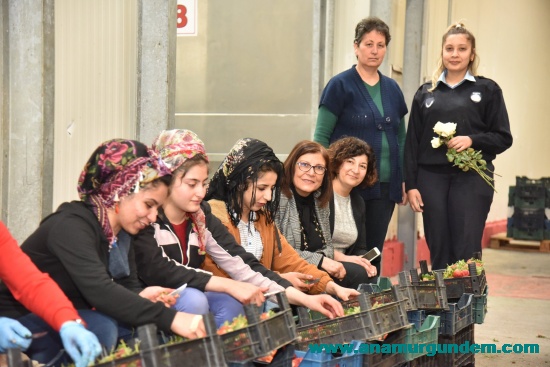 ANAMUR BELEDİYESİ  EMEKÇİ KADINLARI UNUTMADI