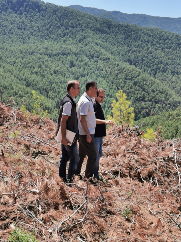 Akduman, ağaçlandırma sahalarını inceledi