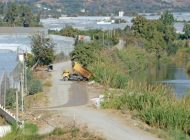 Dragon Çayı sahipsiz