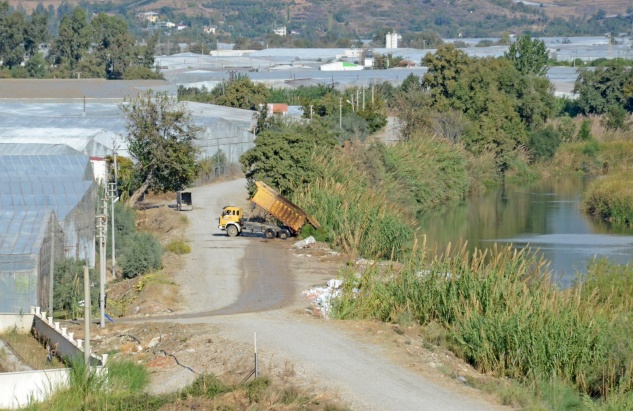 Dragon Çayı sahipsiz