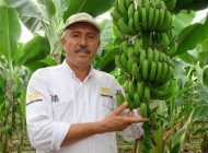 Anamur Muzu anonim oldu