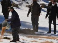 Yaban hayvanlarına yem bırakıldı