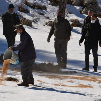 Yaban hayvanlarına yem bırakıldı