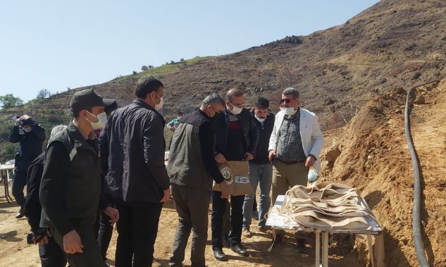 Ucarıda tohumlama etkinliği