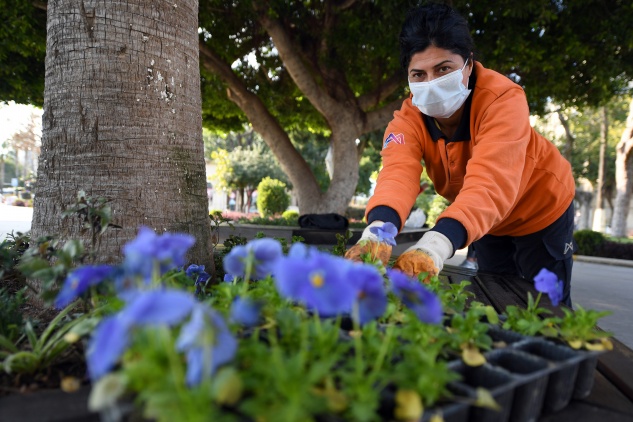 Mersin 4 mevsim çiçek açıyor