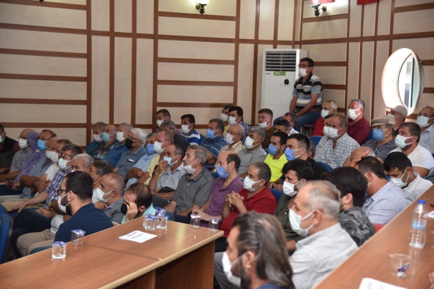 Anamur klasiği: Muz fiyatı düşünce toplanıldı