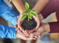 Tarım Platformu kuruldu