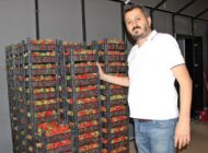 Gürgün Komisyon peşin alımlara başladı