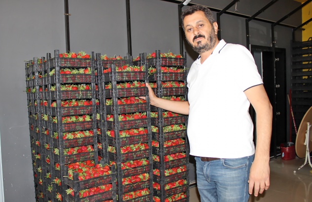 Gürgün Komisyon peşin alımlara başladı