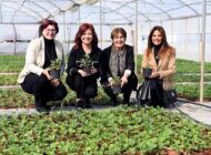 ATA TOPRAĞINDAN TÜRKİYE’YE SİLİFKE ÇİLEĞİ