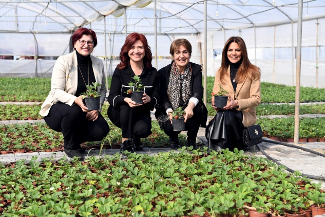 ATA TOPRAĞINDAN TÜRKİYE’YE SİLİFKE ÇİLEĞİ