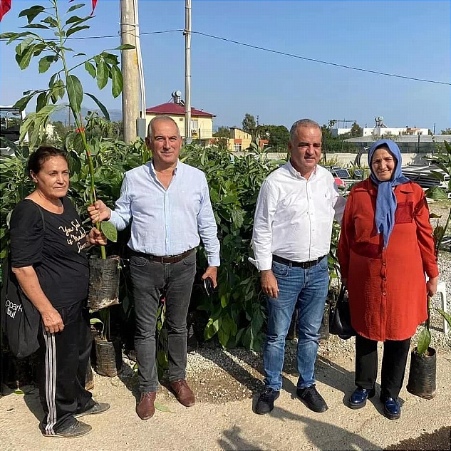 Büyükşehir’den Anamur’lu Üreticilere Avokado Fidanı…