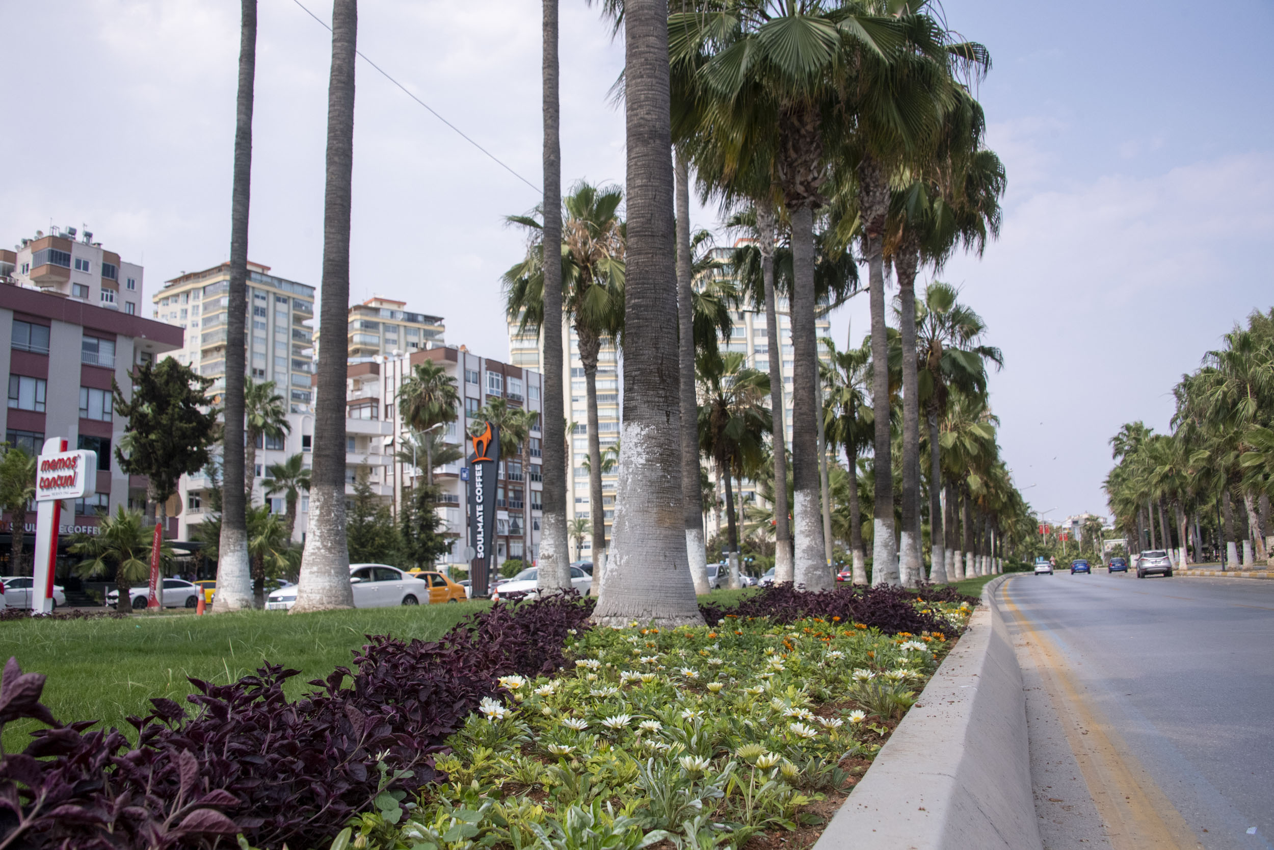 Tüm Çabalar Yeşil Bir Mersin İçin