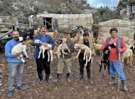 Arıdeniz, mahalle toplantılarına başladı