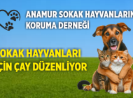 Sokak hayvanları için etkinlik yapılacak