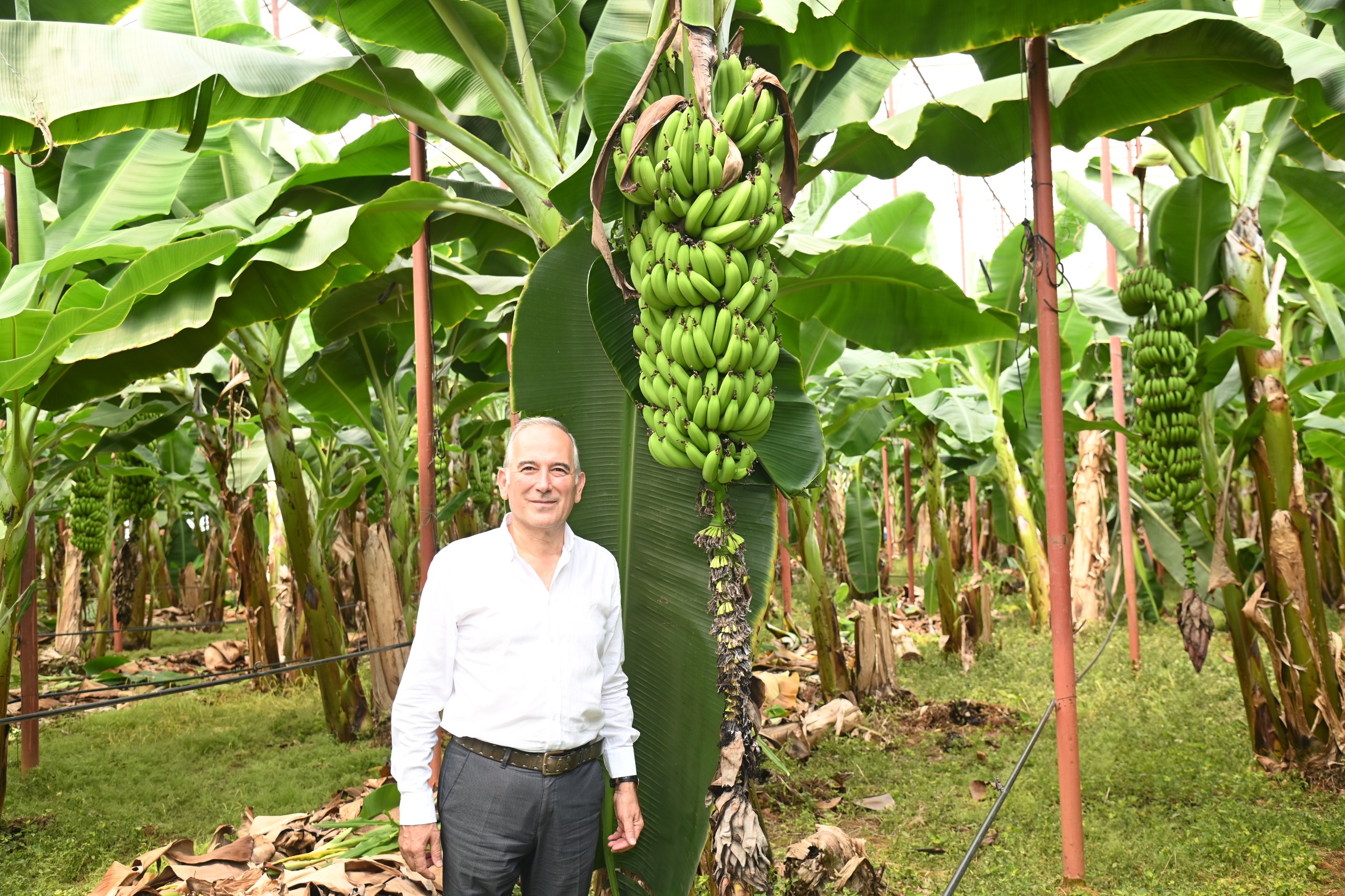 Başkan Deniz; “Muz Üreticilerimizi İthalat Karşısında Ezdirmeyeceğiz”