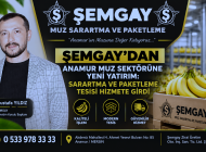 ŞEMGAY’DAN ANAMUR MUZ SEKTÖRÜNE YENİ YATIRIM: