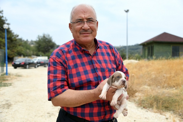 Kocamaz’dan Hayvanları Koruma Günü mesajı
