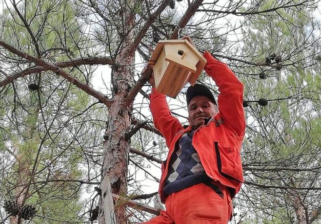 Mersin’de 4000 adet kuş yuvası asıldı