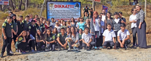 Sokak hayvanları koruma altında