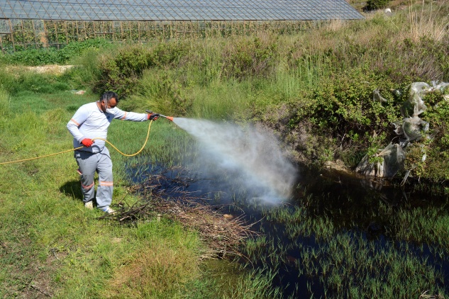 UÇKUN VE LARVA İLE MÜCADELE ÇALIŞMALARI DEVAM EDİYOR