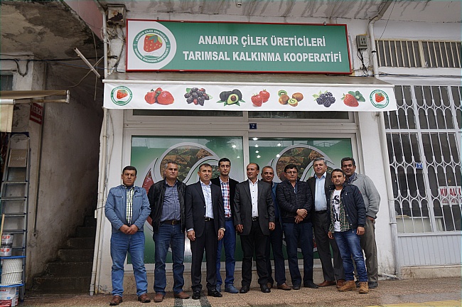 Anamur Çilek Üreticileri Tarımsal Kalkınma Kooperatifi kuruldu