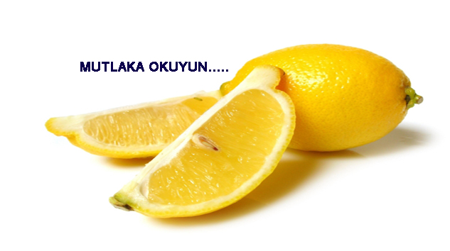 SİZLER İÇİN DERLEDİK……