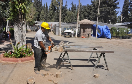 TOROSLAR’DAN, MOTORLU TESTERE KESİM YARIŞMASI