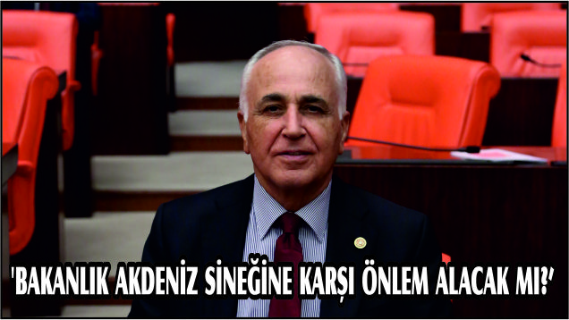 ‘BAKANLIK AKDENİZ SİNEĞİNE KARŞI ÖNLEM ALACAK MI?’